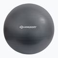 Schildkröt Gymnastikball grau 960157