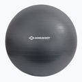 Schildkröt Gymnastikball grau 960158