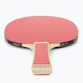 DONIC Appelgren 300 Tischtennis-Set 788634 3