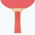 DONIC Appelgren 300 Tischtennis-Set 788634 4