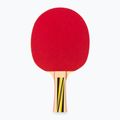 DONIC Top Team 500 Tischtennis-Geschenkset 788451 2