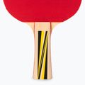 DONIC Top Team 500 Tischtennis-Geschenkset 788451 5