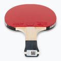 Butterfly Tischtennisschläger Timo Boll SG11 2
