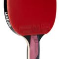 Butterfly Tischtennisschläger Timo Boll Ruby 3