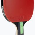 Tischtennisschläger Butterfly Tiago Apolonia TAX3 3