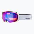 Skibrille Alpina Granby Q-Lite white gloss/blue sph 6