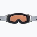 Skibrille Alpina Double Jack Mag Q-Lite black matt/mirror black 10