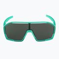 Alpina Bonfire türkis matt/grün Sonnenbrille 2