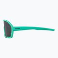 Alpina Bonfire türkis matt/grün Sonnenbrille 3
