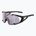Alpina Hawkeye Q-Lite V schwarz matt/lila Sonnenbrille 5