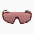 Alpina Hawkeye Q-Lite Ziegel matt/schwarz rot Spiegel Sonnenbrille 2