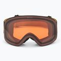 Skibrille Alpina Ladis Q black/ gold matt/ gold 2