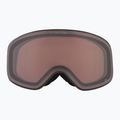 Skibrille Alpina Ladis Q black/ gold matt/ gold 6