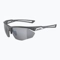 Alpina Nylos HR Mitternachtsgrau matt/Silberspiegel Sonnenbrille 5