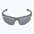 Alpina Nylos HR Mitternachtsgrau matt/Silberspiegel Sonnenbrille 6