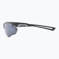 Alpina Nylos HR Mitternachtsgrau matt/Silberspiegel Sonnenbrille 7