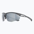 Alpina Nylos HR Mitternachtsgrau matt/Silberspiegel Sonnenbrille 8