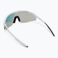Alpina-Sonnenbrille 2