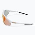 Alpina-Sonnenbrille 4