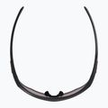 Sonnenbrille Alpina Nylos HR gun matt/pink 3