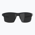 Sonnenbrille Alpina Eagle Q-Lite black matte/silver mirror 2