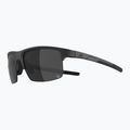 Sonnenbrille Alpina Eagle Q-Lite black matte/silver mirror 4