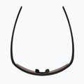 Sonnenbrille Alpina Eagle Q-Lite black matte/red mirror 4