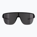 Sonnenbrille Alpina Frame 2.0 Q-Lite black matt / silver mirror 2