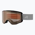 Skibrille Alpina Venet M white matt