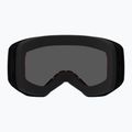 Skibrille Alpina Venet M white matt 3