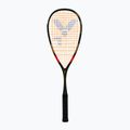 Squash-Schläger VICTOR IP RK 6
