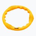 Auffälliges Tauchspielzeug 4202 Ring neon orange