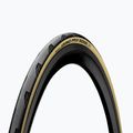 Fahrradreifen Continental Grand Prix 5000 fold 700 x 25C Schwarz/Creme