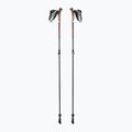 Nordic Walking Stöcke LEKI Instructor Lite schwarz-silber 65326341