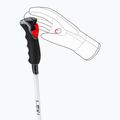 Skistöcke Damen LEKI Carbon 14 3D natural carbon/ white/ gold 5
