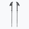 Trekkingstöcke LEKI Sherpa FX Carbon Strong black/naturalcarbon/light anthracite 5