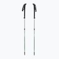 Trekkingstöcke LEKI Makalu FX TA silver/greygreen/white