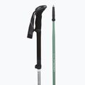 Trekkingstöcke LEKI Makalu FX TA silver/greygreen/white 3
