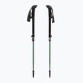 Trekkingstöcke LEKI Makalu FX TA silver/greygreen/white 5