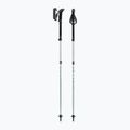 Trekkingstöcke LEKI Makalu FX TA silver/greygreen/white