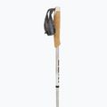 Laufstöcke LEKI Neotrail Pro FX.One SL grey 2