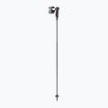 Skistöcke LEKI Carbon 12 TR black 2