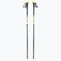 LEKI Aergon 2 Skistöcke schwarz 6362736
