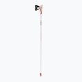 LEKI Passion silberne Nordic Walking Stöcke 64925100