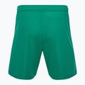 Capelli Sport Cs One Adult Match grün/weiß Kinder Fußball-Shorts 2