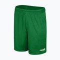 Capelli Sport Cs One Adult Match grün/weiß Kinder Fußball-Shorts 4