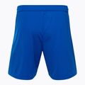 Capelli Sport Cs One Adult Match Fußball-Shorts königsblau/weiß 2