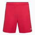 Capelli Sport Cs One Adult Match rot/weiß Kinder Fußball-Shorts