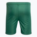 Capelli Sport Cs One Youth Match grün/weiß Kinder Fußball-Shorts 2