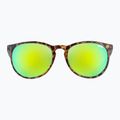 UVEX Sonnenbrille Lgl 43 havanna schwarz/grün spiegelnd 2